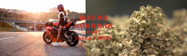гидра Бородино