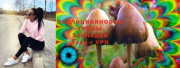 гидра Бородино