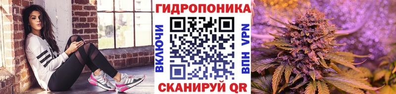 Марихуана SATIVA & INDICA  Выборг 